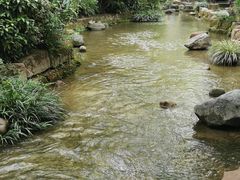 -黄龙溪古镇