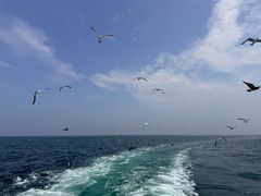 -海驴岛(荣成市)