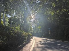 -火炉山森林公园