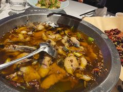 沸腾水煮鱼-新沸腾鱼乡(世贸天阶店)