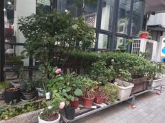 -随柳居·苏式小吃(建新巷店)
