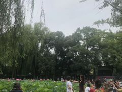 -四川大学(望江校区)