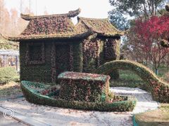 -东平国家森林公园