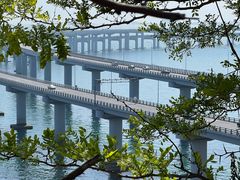 -星海湾跨海大桥