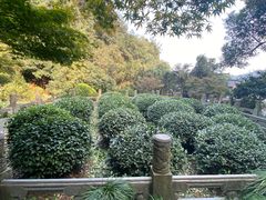 -十八棵（老龙井）御茶园(老龙井店)