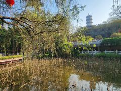 -国恩寺