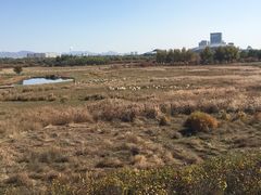 -赛汗塔拉风情园