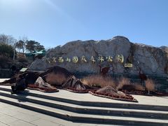 -北京西山国家森林公园