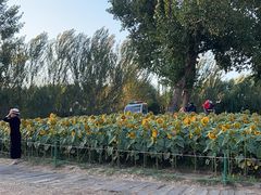 -长白岛森林公园