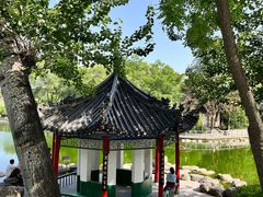 -莲湖公园