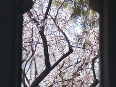 -颐和园