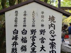 -野宫神社
