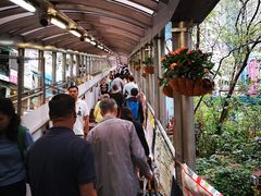 -中环半山扶手电梯