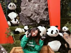 -济州岛泰迪熊博物馆