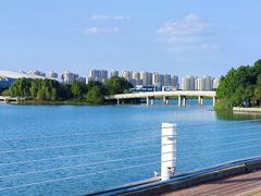 -贡湖湾湿地公园