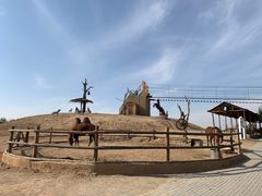 -包头古城文化旅游区
