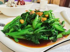 白灼时蔬-光明渔港(海悦天地店)