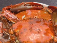 -连鹭海鲜·海肠捞饭·海胆饭(星海店)