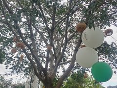 -悦哉·派对·草坪婚礼·围炉煮茶(三圣乡店)