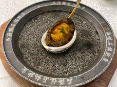 石锅大鲍鱼-品海楼·大连海胆锅贴馆(东港店)
