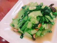 -品雅轩农家乐
