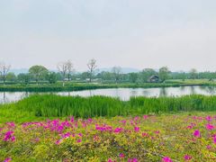 -良渚古城遗址公园