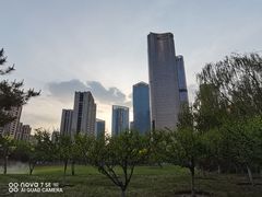 -大望京公园