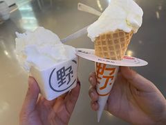 -野人牧坊Gelato(天津南开大悦城店)