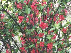 -合盛记(苏州南天大厦店)