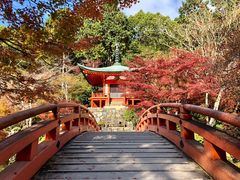 -醍醐寺