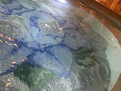 -麓湖国际水疗