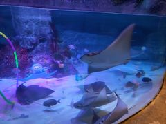 -沈阳海洋探索中心