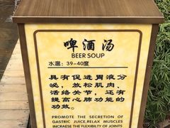 -崇阳三特浪口温泉