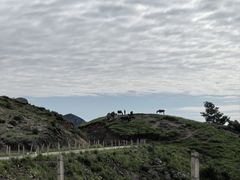 -灵山