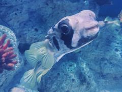 -福州罗源湾海洋世界旅游区