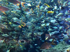 -成都浩海立方海洋公园