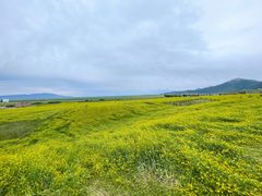 -扁都口生态休闲旅游区