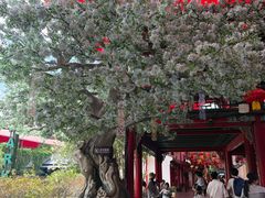 -杭州宋城