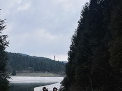 -武陵山森林公园
