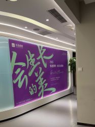 -联合丽格·张菡丽格医疗美容