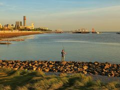 -上海吴淞炮台湾国家湿地公园
