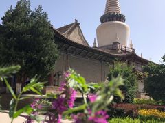 -张掖大佛寺景区