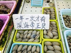 -南沙十九涌渔人码头-南门