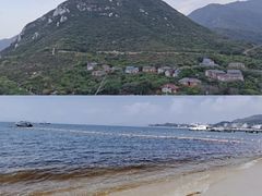 -杨梅坑