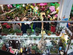 -双季花艺园艺市场(浦东店)
