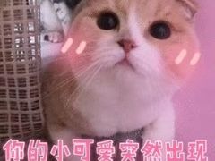 -盒马鲜生(曜一城店)