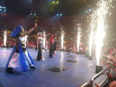 -珠海横琴长隆《卡卡虎奇遇记》