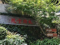 -龙井壹号·茶缘山景宴(龙井村店)