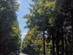 -山王坪喀斯特国家生态公园