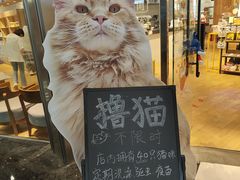 -藏猫猫咖啡主题馆(中央大道店)